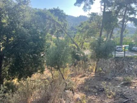 1,320M2 Field For Sale In Çandır Center By The Forest