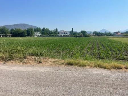 Land For Sale Of 2715M2 In The Built-Up Area Of The Village In Okçular