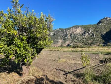 Land For Sale In Dalyan Close To The Center Of 6600M2