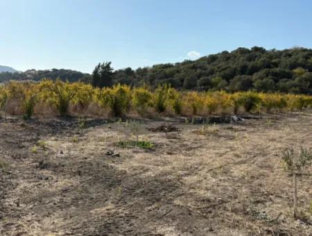 19.663M2 Farm Land And House For Sale In Eskiköy