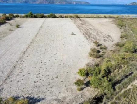 3210M2 2B Land For Sale By The Lake In Çandır