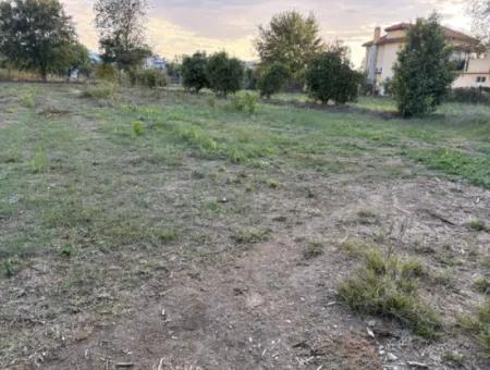 Dalyan Merkeze Yakın 7,450M2 Satılık Arsa