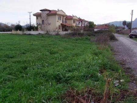 Dalyan Gülpınar Satılık Arsa Dalyan 1,002M2 Satılık Köşenası Satılık Arsa