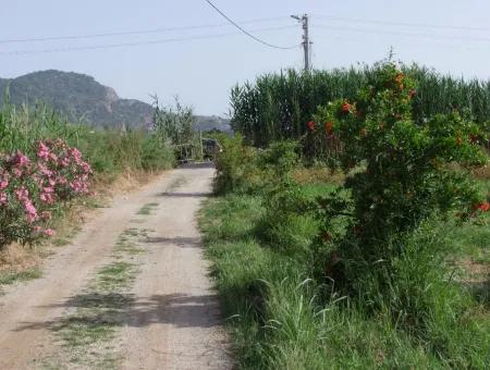 Dalyan İztuzu Satılık Bahçe Dalyan Göle Sıfır Satılık Arsa