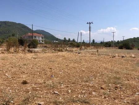 Köyceğiz Zeytinalanı'nda Göl Manzaralı 11.227M2 Satılık Arsa