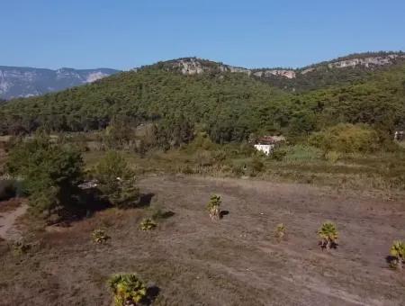 Çamlıda Satılık Arsa Arazi Marmaris Çamlıda Deniz Manzaralı 11720M2 Satılık Arsa