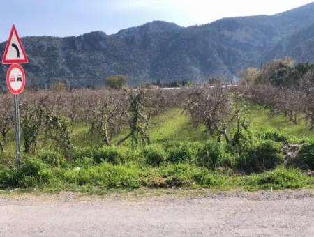 Dalyan'da 5500M2 Satılık Arsa