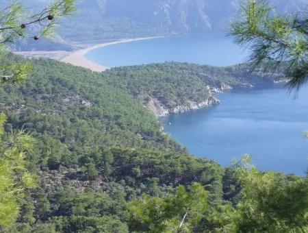 Ekincik Çandır Arasın'da Deniz Manzaralı Kelepir Emlak Satılık Arsa