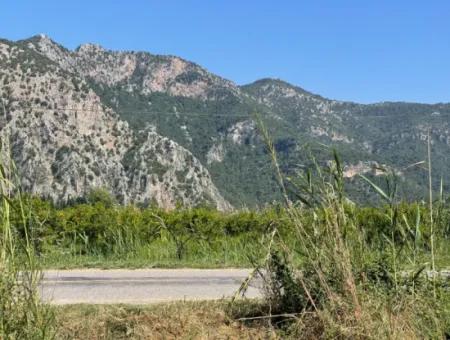 Dalyan'da İztuzu Yoluna Sıfır 6,500M2 Satılık Tarla