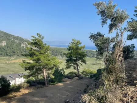 Sarıgerme'de Full Deniz Manzaralı 425M2 Satılık Arsa