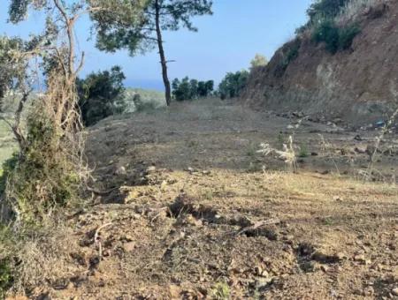 Sarıgerme'de Full Deniz Manzaralı 425M2 Satılık Arsa